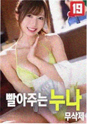 长风纪年番剧封面